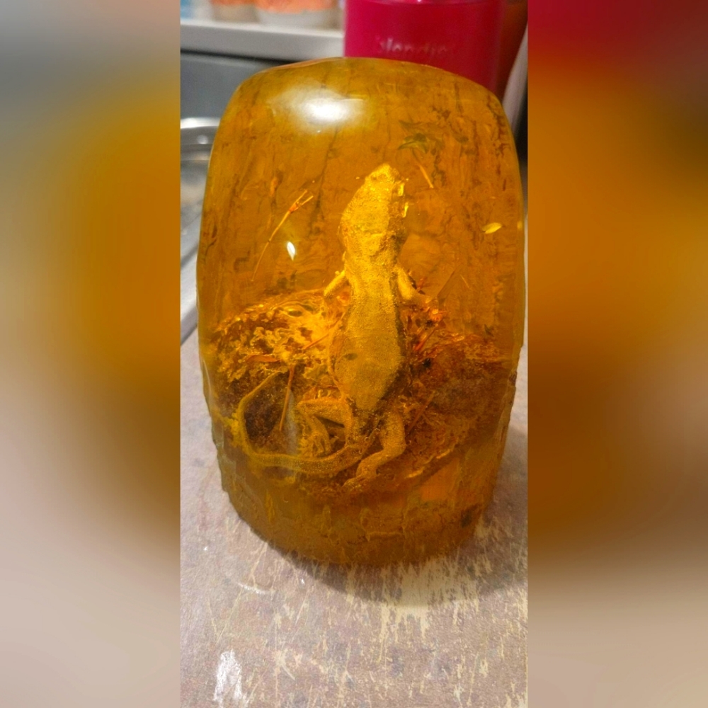Amber with a lizard encapsulated